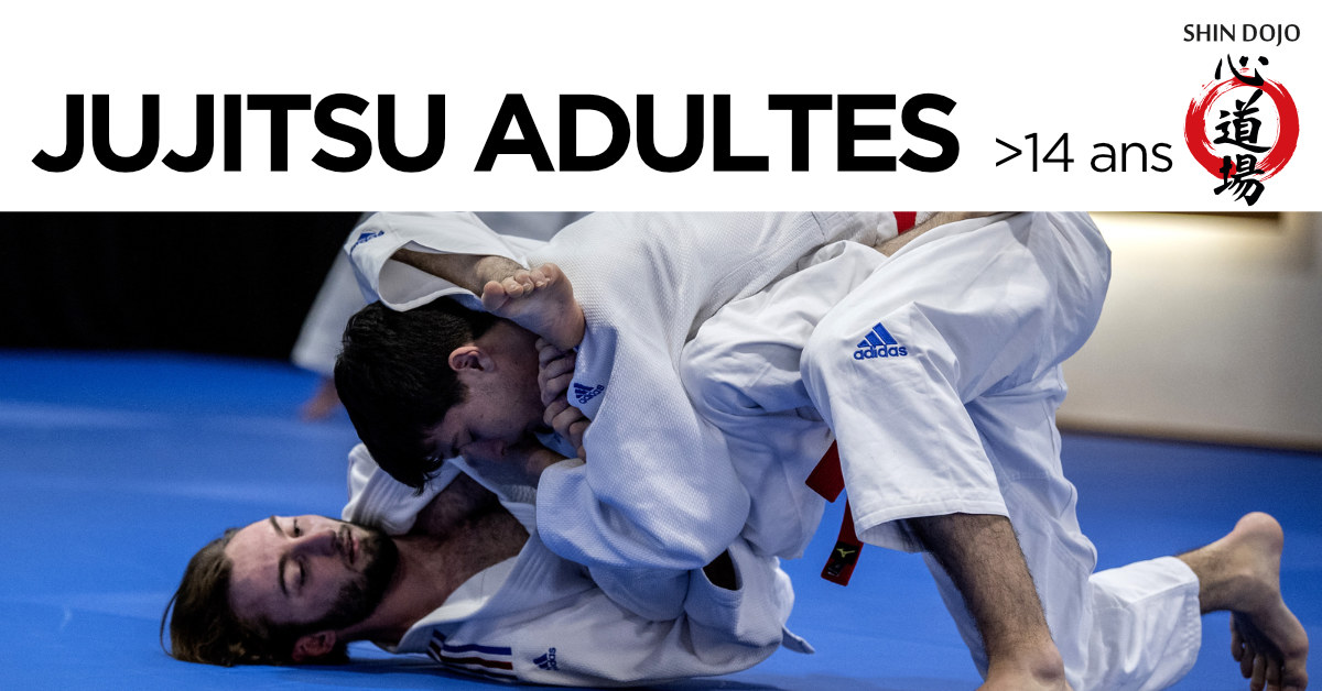 inscription jujitsu newaza - club shin dojo herblinois